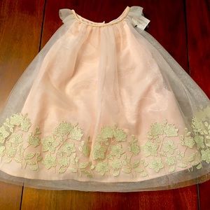 Pink with gold tule overlay flower girl dress